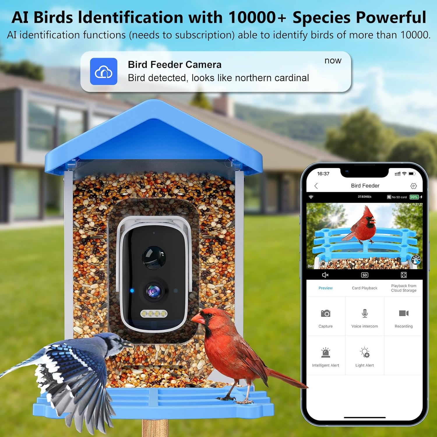 Smart Garden Ai - Slimme vogelvoeder met camera, AI vogelsoortidentificatie,