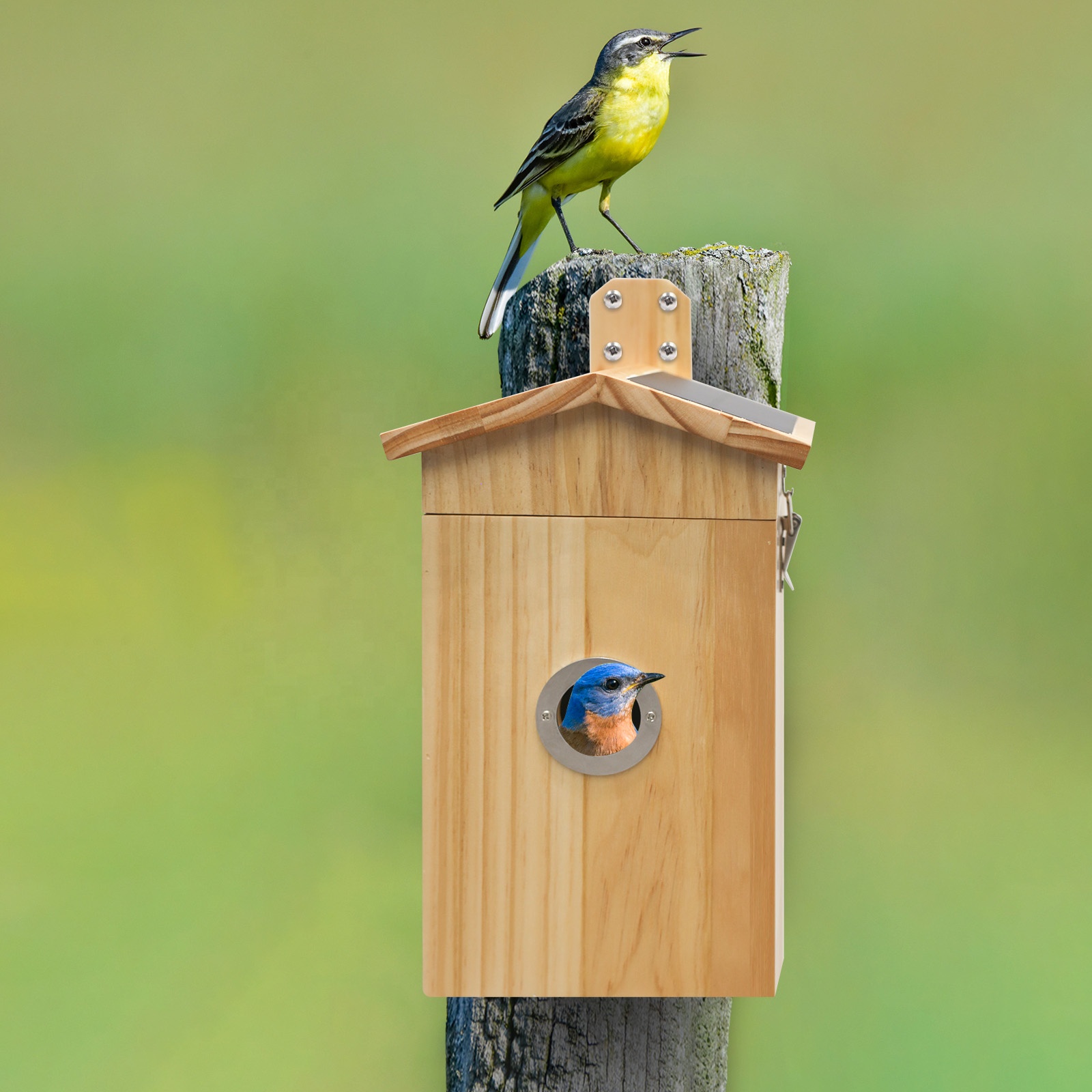 Smart Garden Ai - Nanxin Hot Selling Camera Vogels Huis