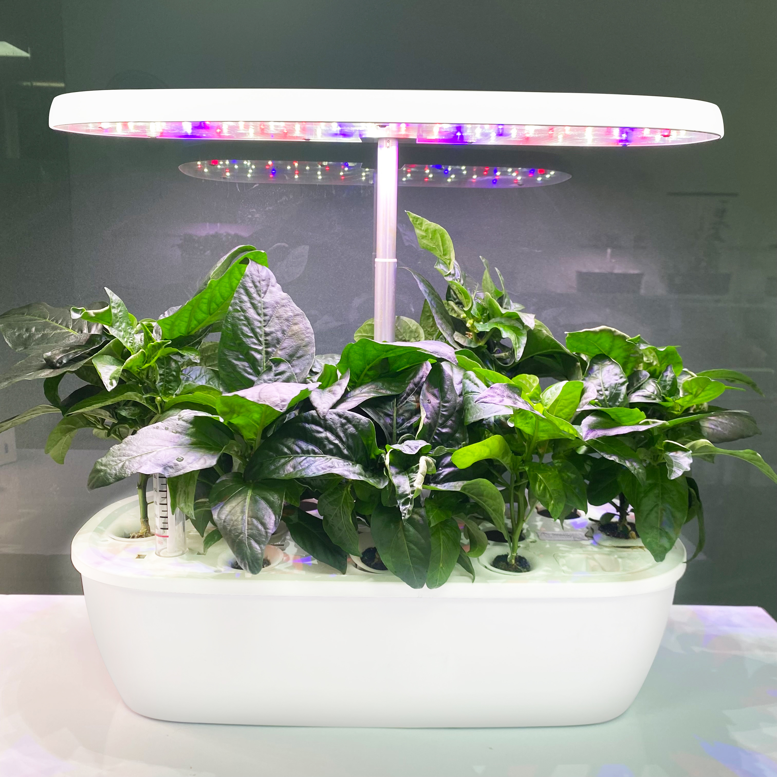 Smart Garden Design - Slim elektronisch binnen hydrocultuursysteem, hoogwaardig huisontwerp,