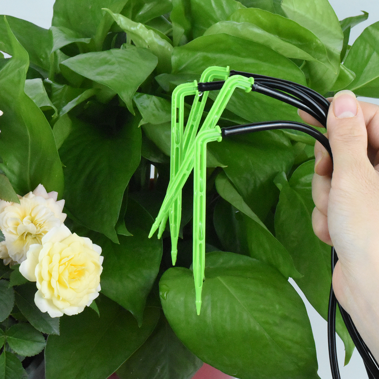 Kesla Tuin 4/7Mm Tot 3/5Mm Sla - Smart Urban Garden recensie en prijs