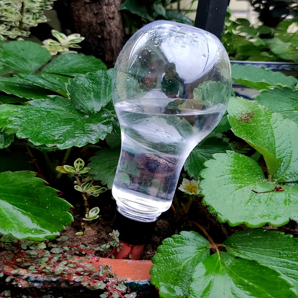 Tuin Automatische Watergift To - Smart Garden Furniture recensie en prijs