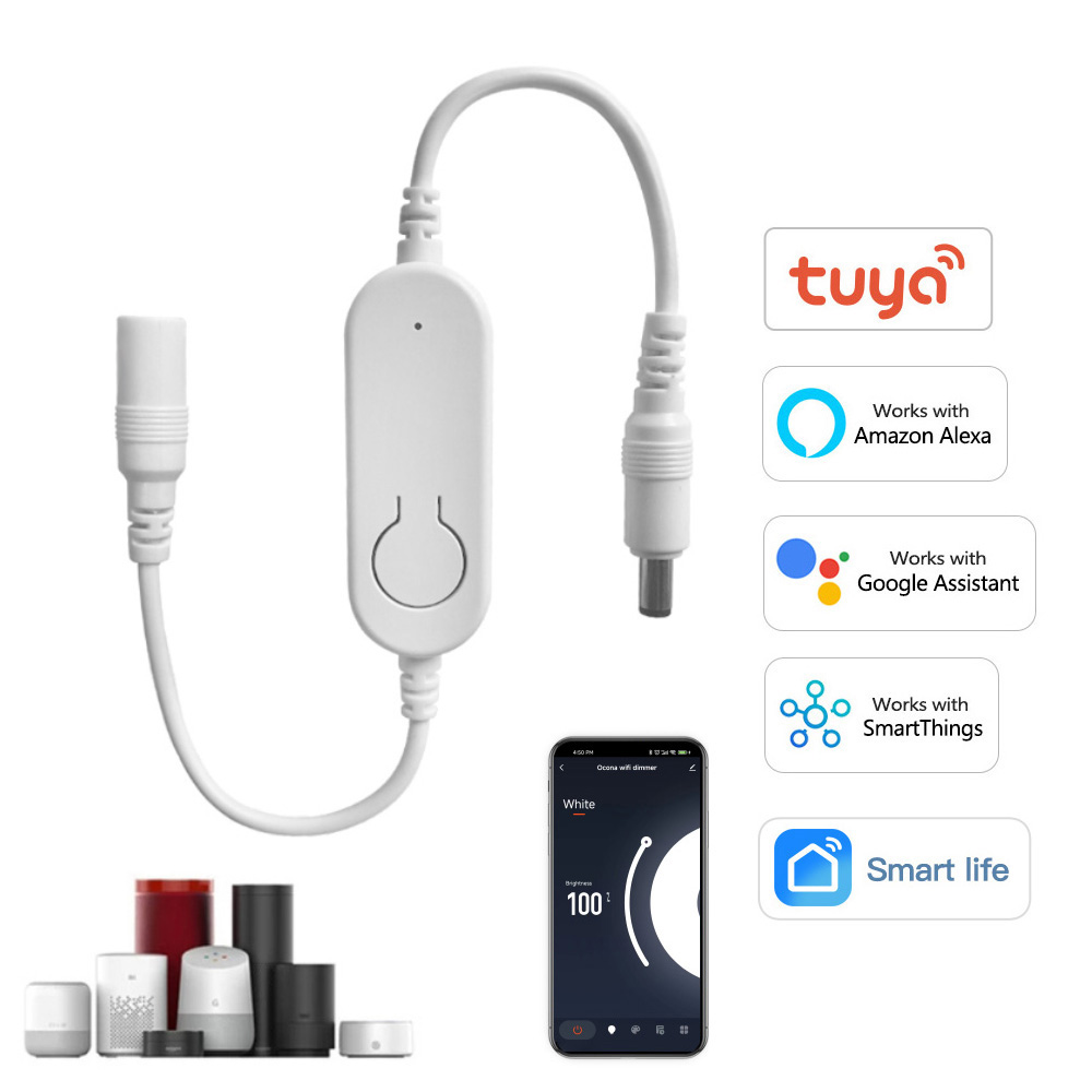 DC12V-24V Tuya Wifi LED Strip  - Smart Garden Light Controller recensie en prijs