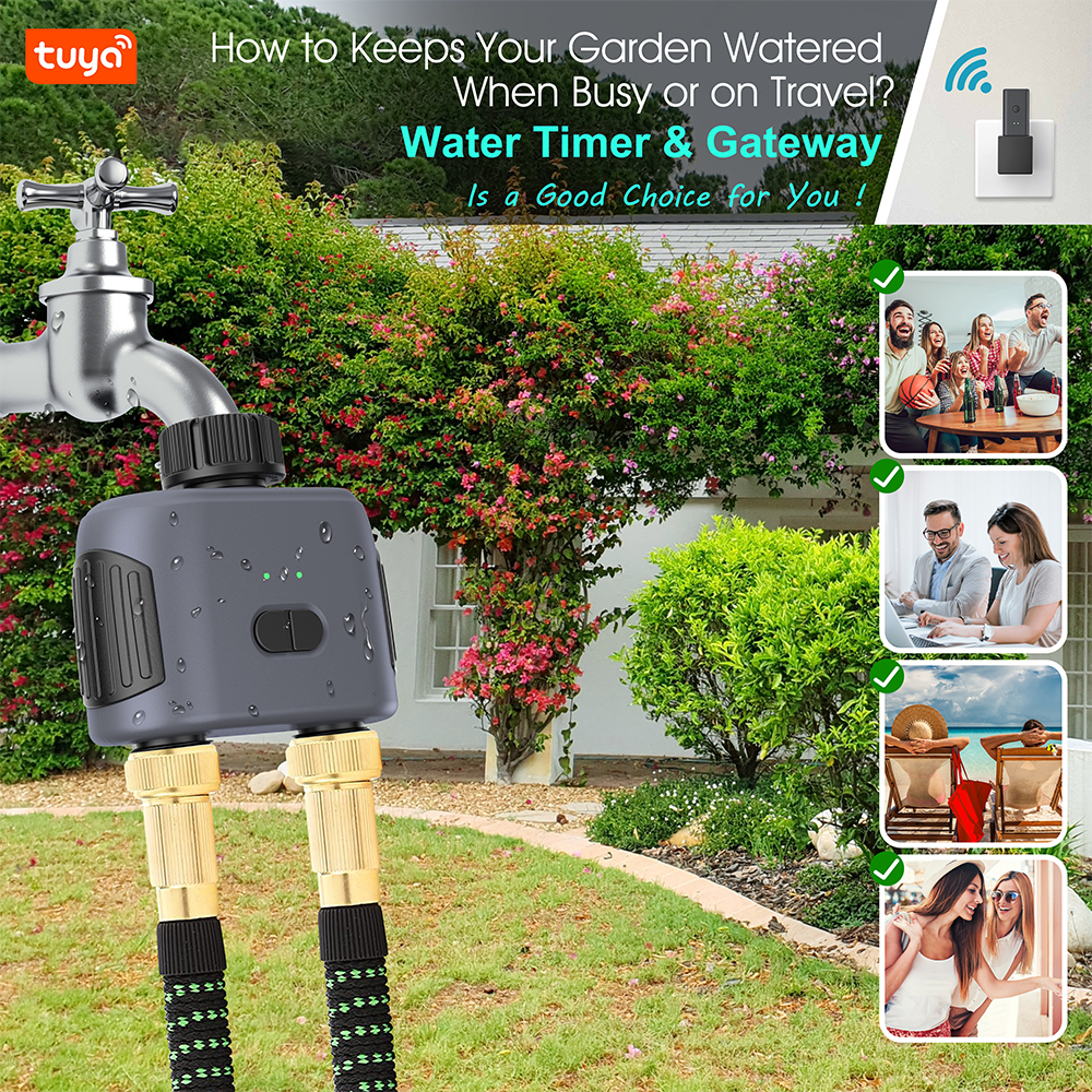 Tuya Zigbee/Bluetooth Watertim - Smart Garden Zigbee recensie en prijs