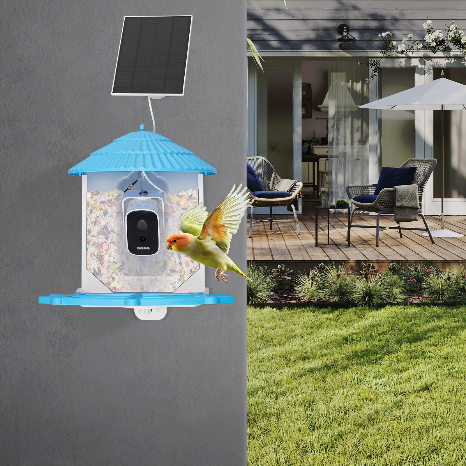 4MP HD Camera AI Vogelvoeder m - Smart Garden Ai recensie en prijs