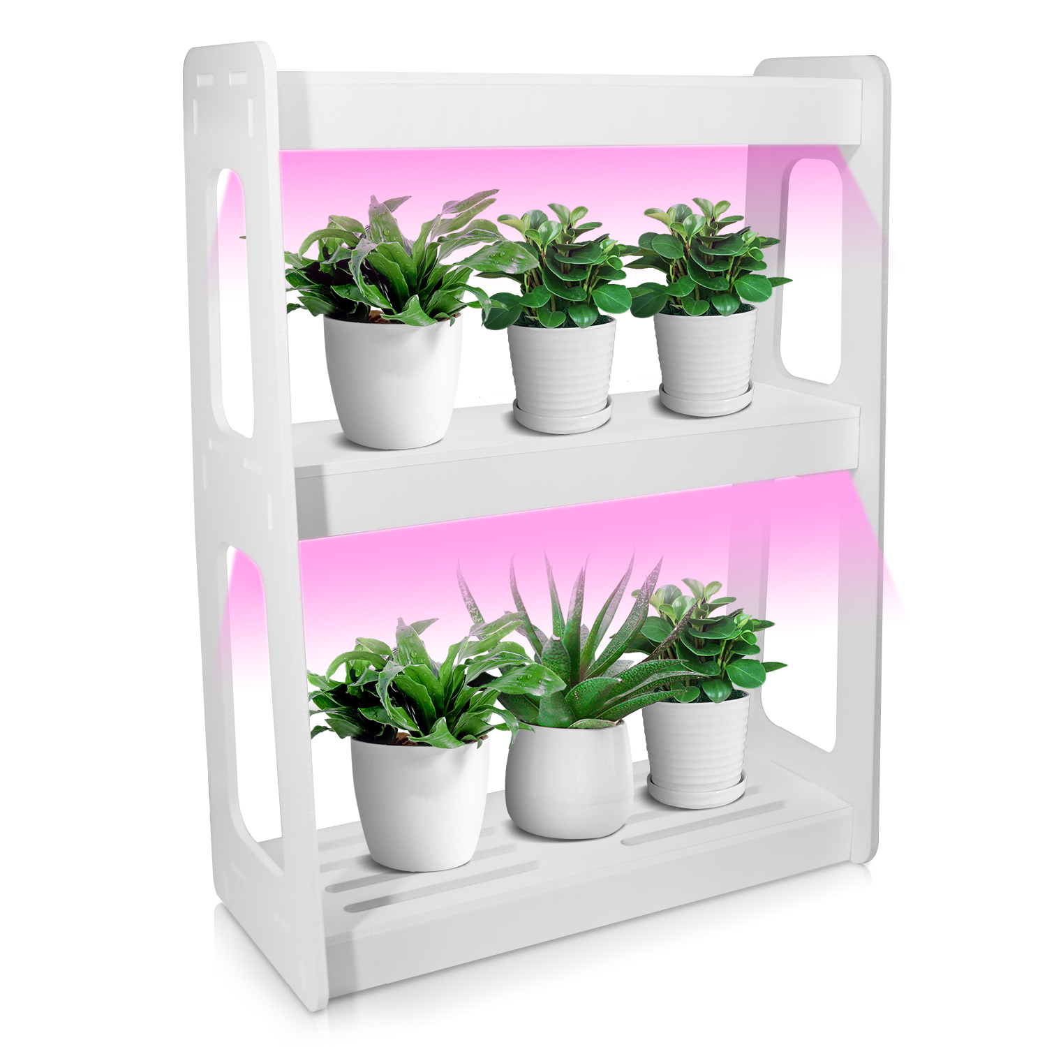 Hot Sale Indoor Smart Garden J - Smart Garden Design recensie en prijs