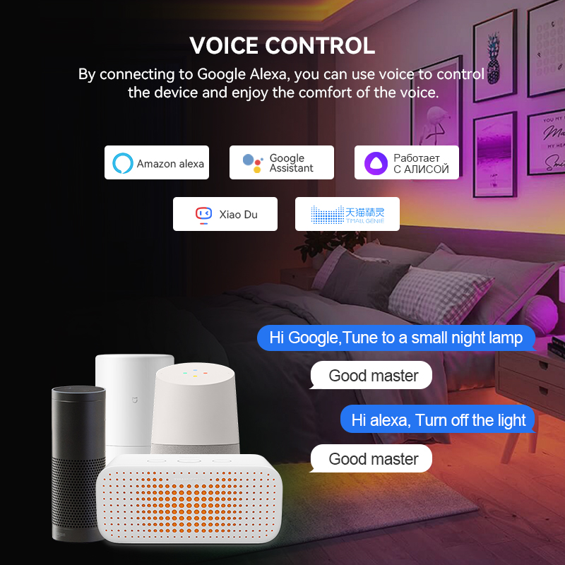 DR03W/DR04W Tuya WIFI LED Cont - Smart Garden Light Controller recensie en prijs