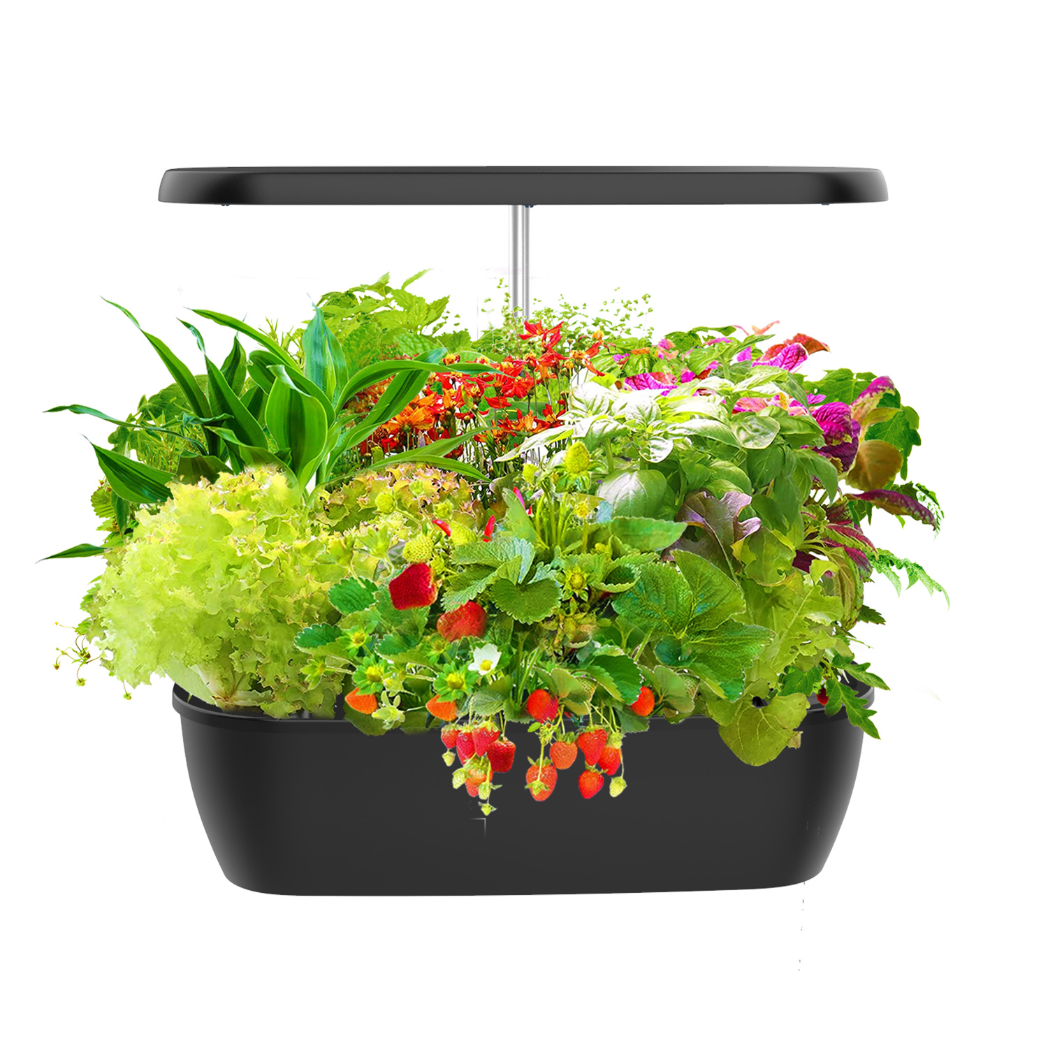 Slim elektronisch binnen hydro - Smart Garden Design recensie en prijs