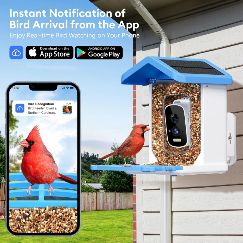 WiFi Smart Bird Feeder met cam - Smart Garden Ai recensie en prijs